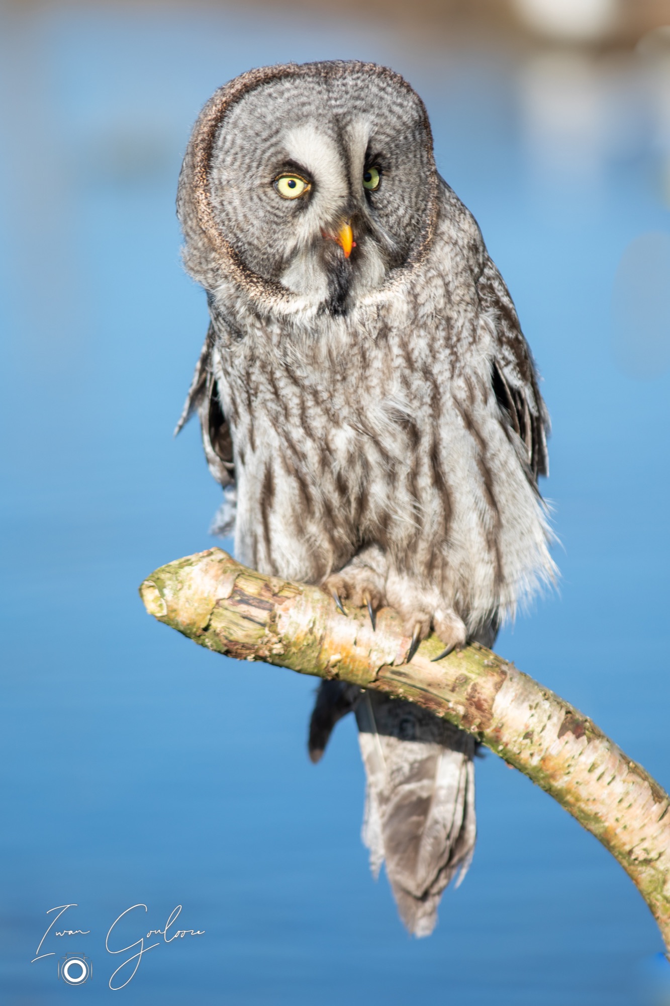 04 maart 2022 153441  5D44215